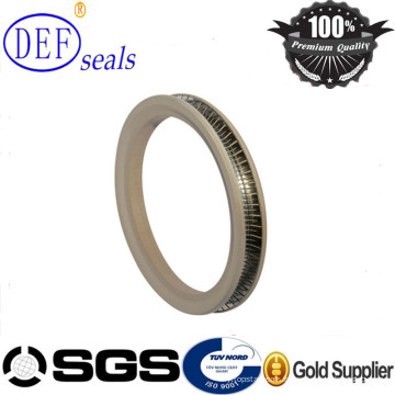 Pièces d&#39;autocollants PTFE Mechanical Stainless Steel Spring Energized Seals